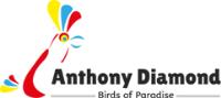 Birds of Anthony Diamond image 1